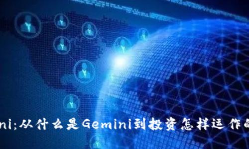 Gemini：从什么是Gemini到投资怎样运作的一切