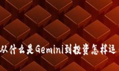 Gemini：从什么是Gemini到投资怎样运作的一切