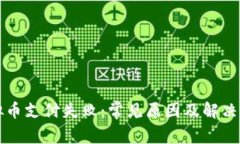 虚拟币支付失败：常见原因及解决方案