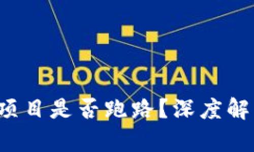  TP钱包挖矿项目是否跑路？深度解析与用户指南