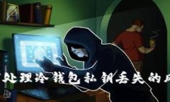 如何处理冷钱包私钥丢失的风险？