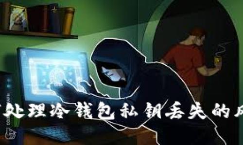 如何处理冷钱包私钥丢失的风险？