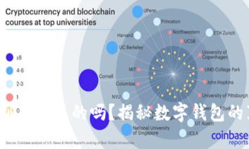 t p钱包上的钱到底是真的吗？揭秘数字钱包的真实性与安全性