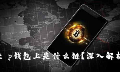  xch在t p钱包上是什么链？深入解析与应用