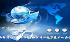 全面解析SAS与冷钱包：如何确保数字资产的安全