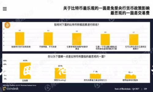 如何在币圈查看他人的TP钱包交易记录？