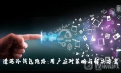 遭遇冷钱包跑路：用户应对策略与解决方案
