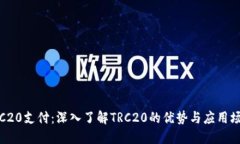 TRC20支付：深入了解TRC20的优势与应用场景