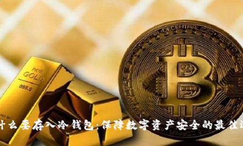 为什么要存入冷钱包：保障数字资产安全的最佳选择