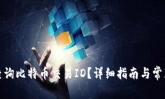 如何快速查询比特币交易ID？详细指南与常见问题