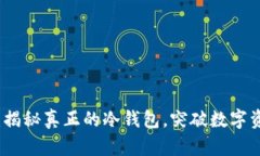 从虚拟到现实：揭秘真正的冷钱包，突破数字资