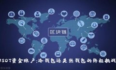 USDT资金账户：冷钱包还是热钱包的终极挑战？