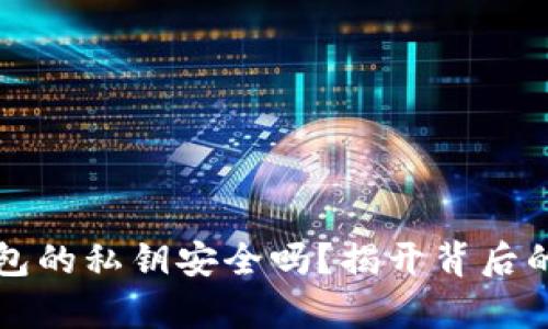 TP钱包的私钥安全吗？揭开背后的真相