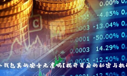 冷钱包真的安全无虞吗？揭开背后的秘密与挑战