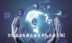 你还在为选择区块链钱包而困惑吗？