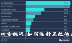 安全与收益的双重挑战：如何选择正规的虚拟币