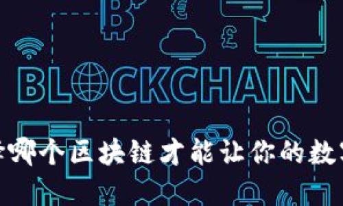 TP钱包：选择哪个区块链才能让你的数字资产增值？