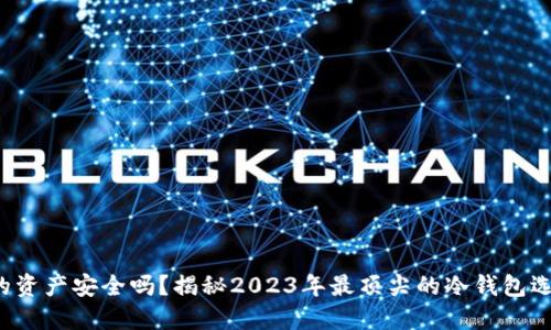 你的资产安全吗？揭秘2023年最顶尖的冷钱包选择！