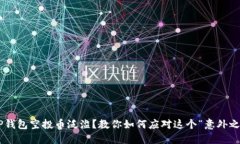 当TP钱包空投币泛滥？教你如何应对这个“意外之