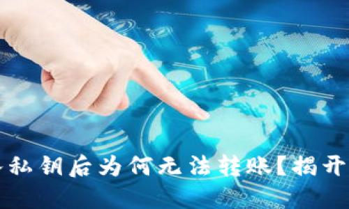 TP钱包导入私钥后为何无法转账？揭开背后的谜团