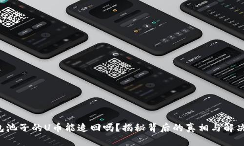 TP钱包池子的U币能追回吗？揭秘背后的真相与解决方案！