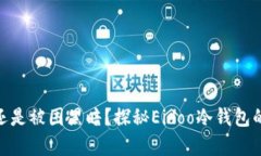 保护财富还是被困黑暗？探秘Eidoo冷钱包的真实面