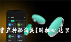 你的TP钱包资产神秘消失？别担心，这里有解救方