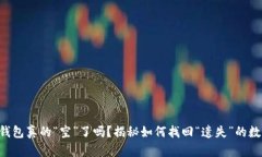 你的TP钱包真的“空”了吗？揭秘如何找回“遗失