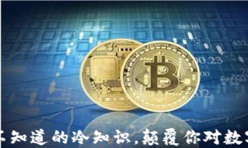 
袋鼠钱包：你不知道的冷知识，颠覆你对数字支付的认知！