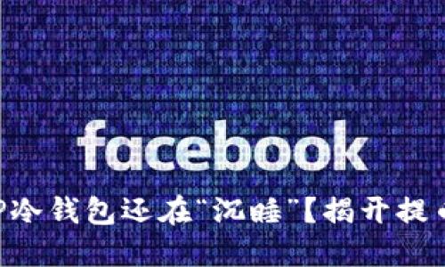 为什么你的TP冷钱包还在“沉睡”？揭开提币的神秘面纱！