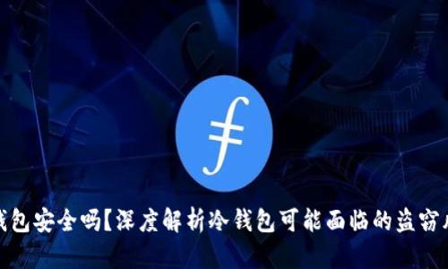 冷钱包安全吗？深度解析冷钱包可能面临的盗窃风险