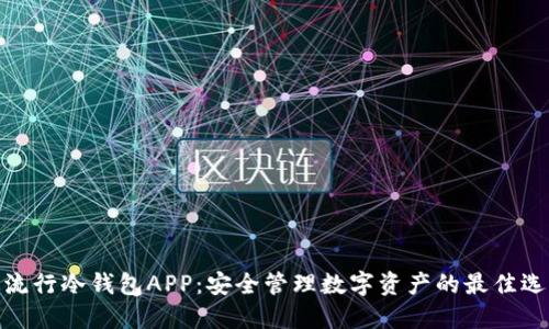 最流行冷钱包APP：安全管理数字资产的最佳选择