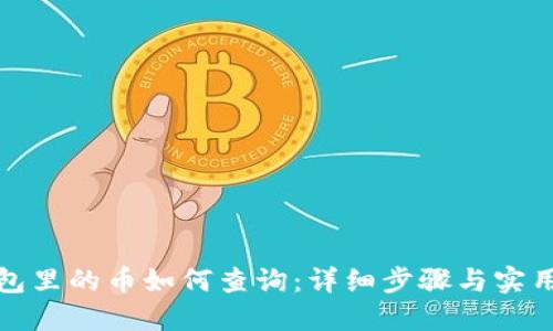 冷钱包里的币如何查询：详细步骤与实用技巧
