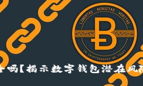数字钱包安全吗？揭示数字钱包潜在风险与防范对策