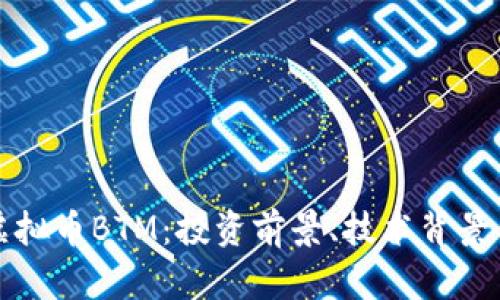 深入解析虚拟币BTM：投资前景、技术背景与市场动态