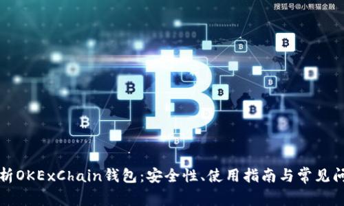 全面解析OKExChain钱包：安全性、使用指南与常见问题解答